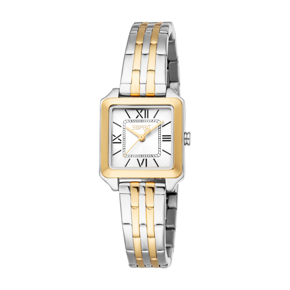 Esprit Ladies Wristwatch/ ES1L453M0065