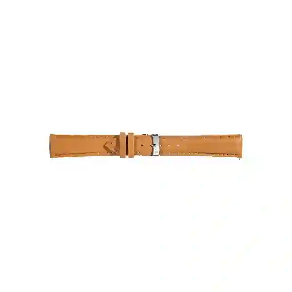Watch strap/A01D5050C47037CR20