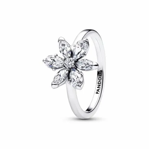 Pandora Timeless Silver Ring/ 193000C02-56