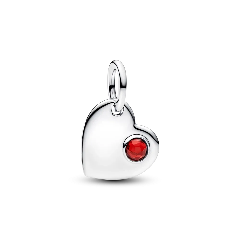 Pandora Timeless Silver Charm/794295C01