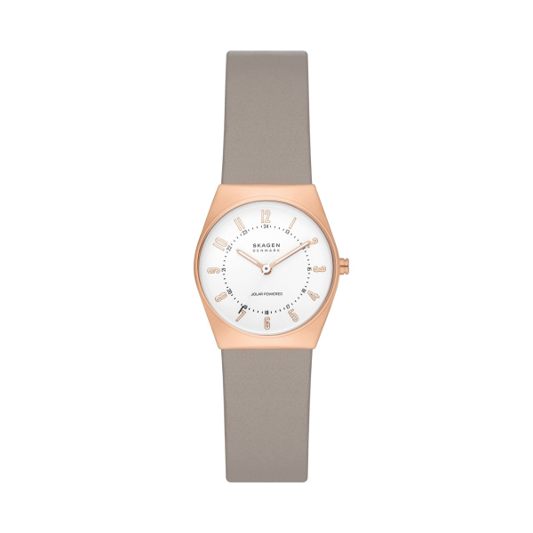 Skagen Ladies Wristwatch/ SKW3079