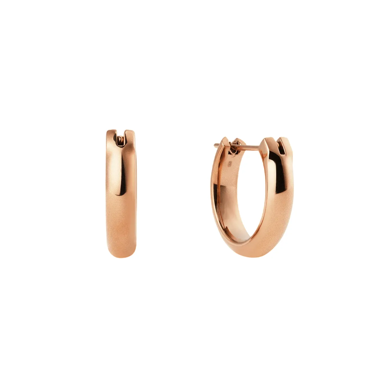 Daniel Wellington Earring/ DW00401950