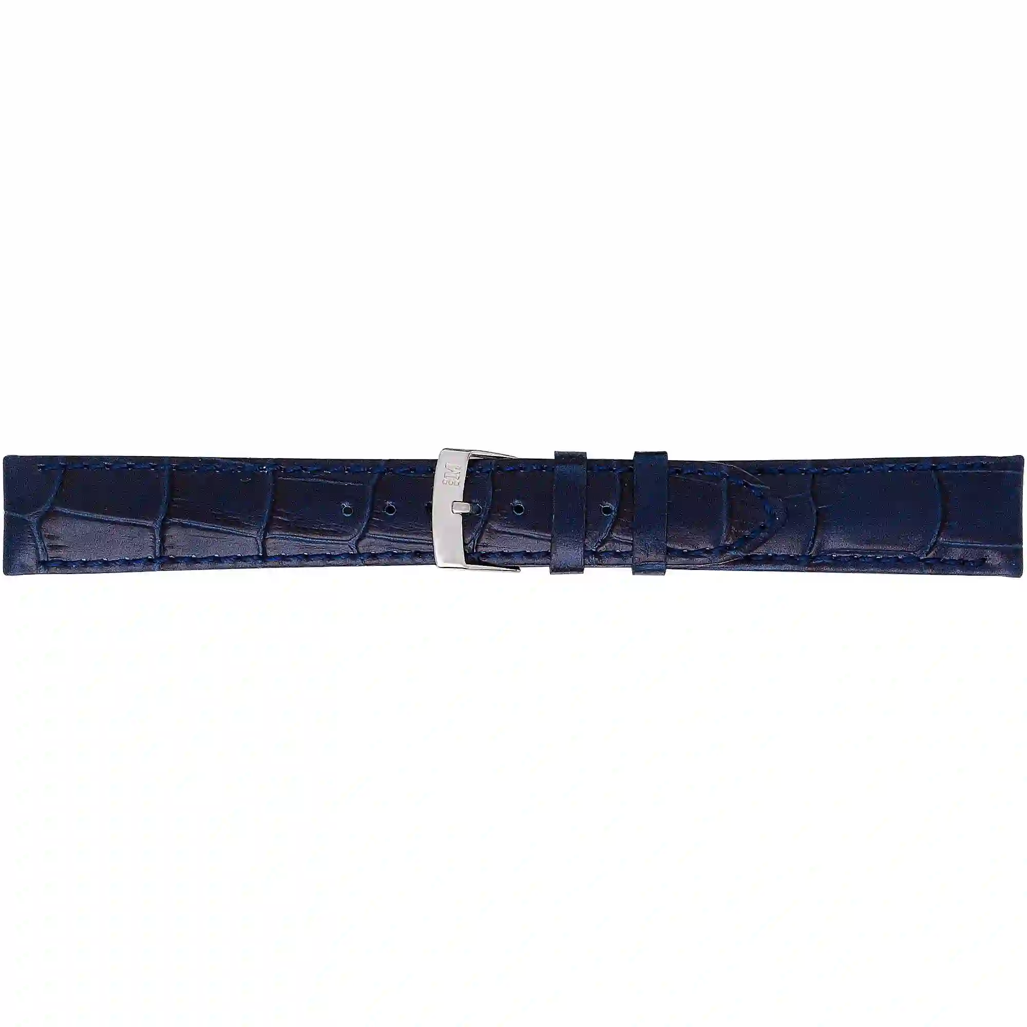 Watch strap/A01X2704656062CR22