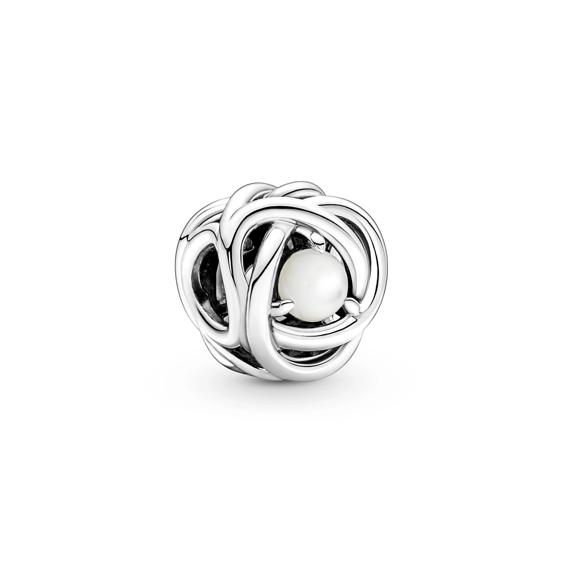 PANDORA Moments Արծաթյա Չարմ/ 790064C03