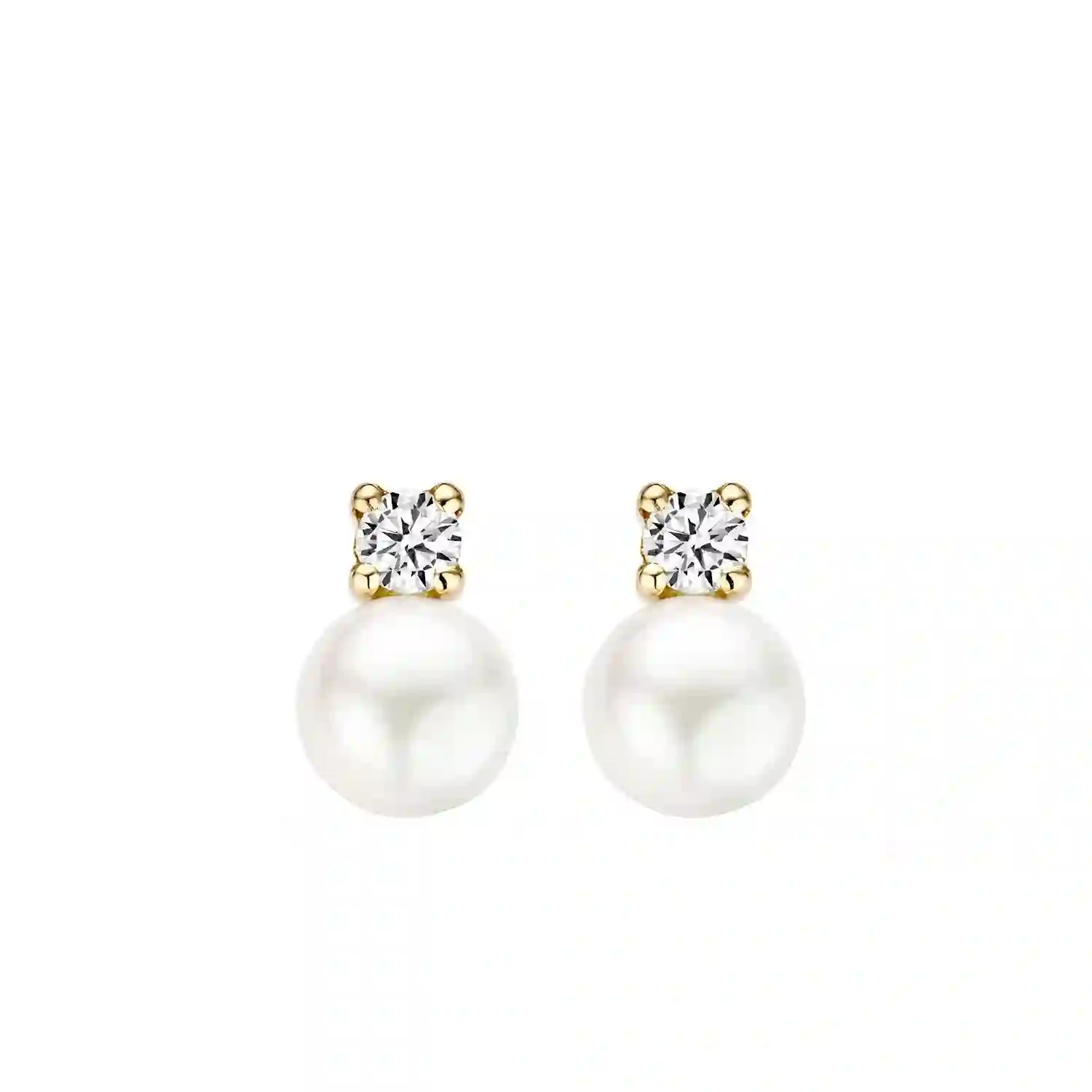 Blush 14K ոսկյա Ականջօղ/ 7147YPW