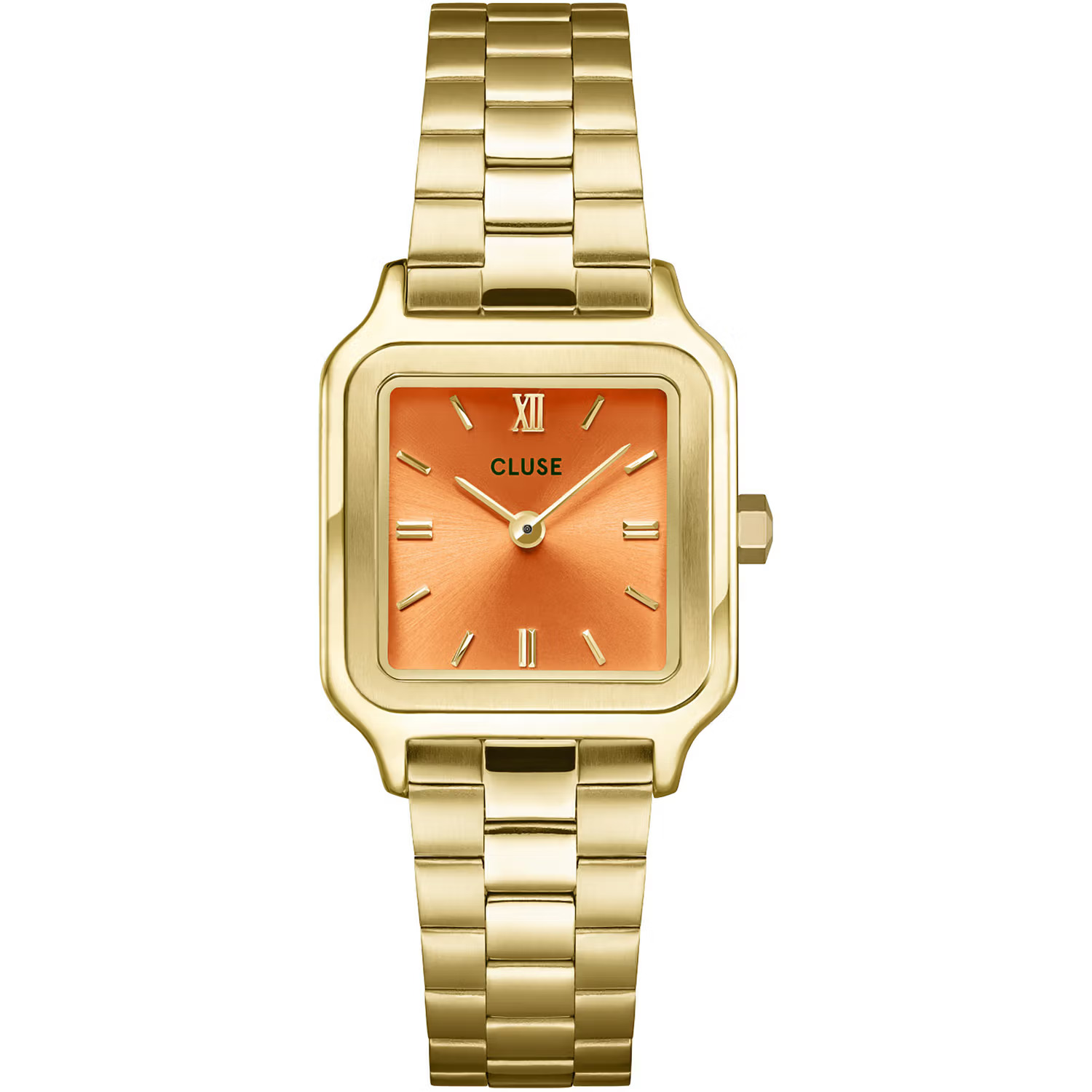 Cluse Ladies Wristwatch/ CW11807