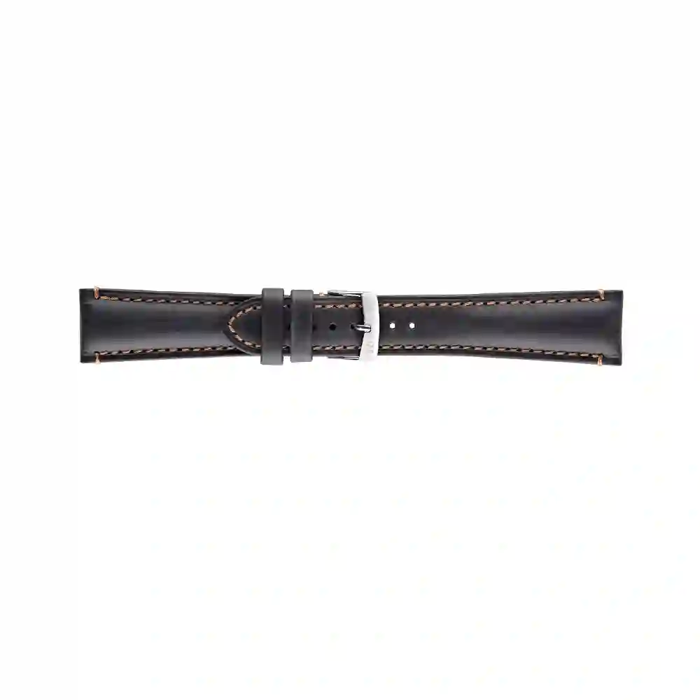 Watch strap/A01X4434B09019CR18