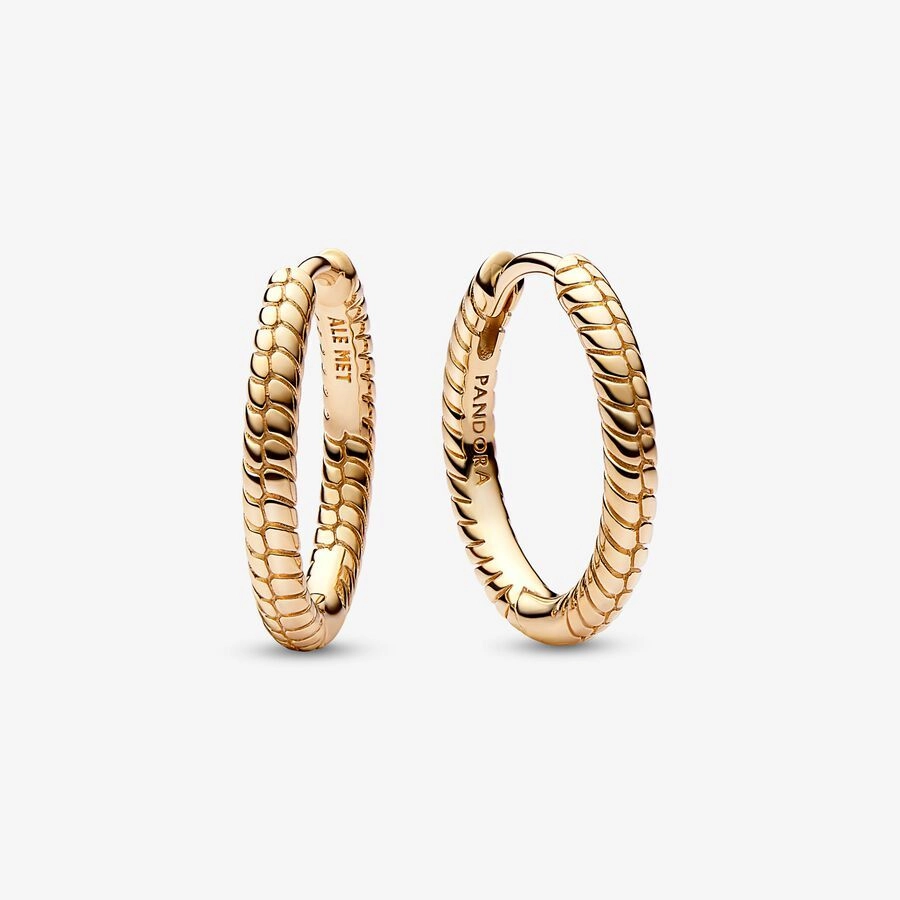 PANDORA Moments 14K Gold Plated Silver Earring/ 262728C00