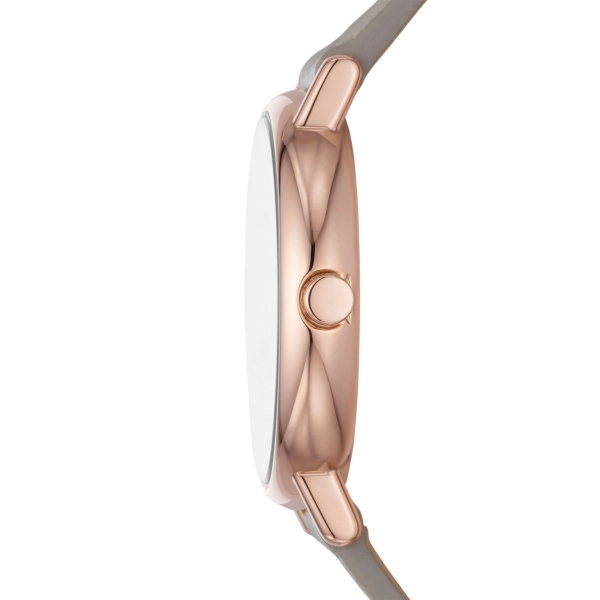 Skagen  Ladies  Wristwatch/ SKW3060