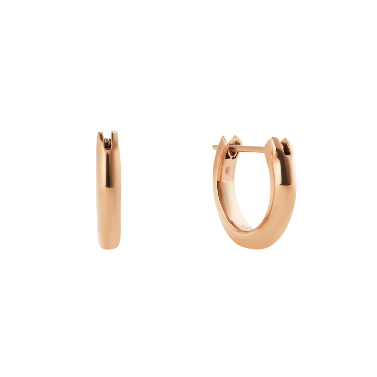 Daniel Wellington Earring/ DW00401947