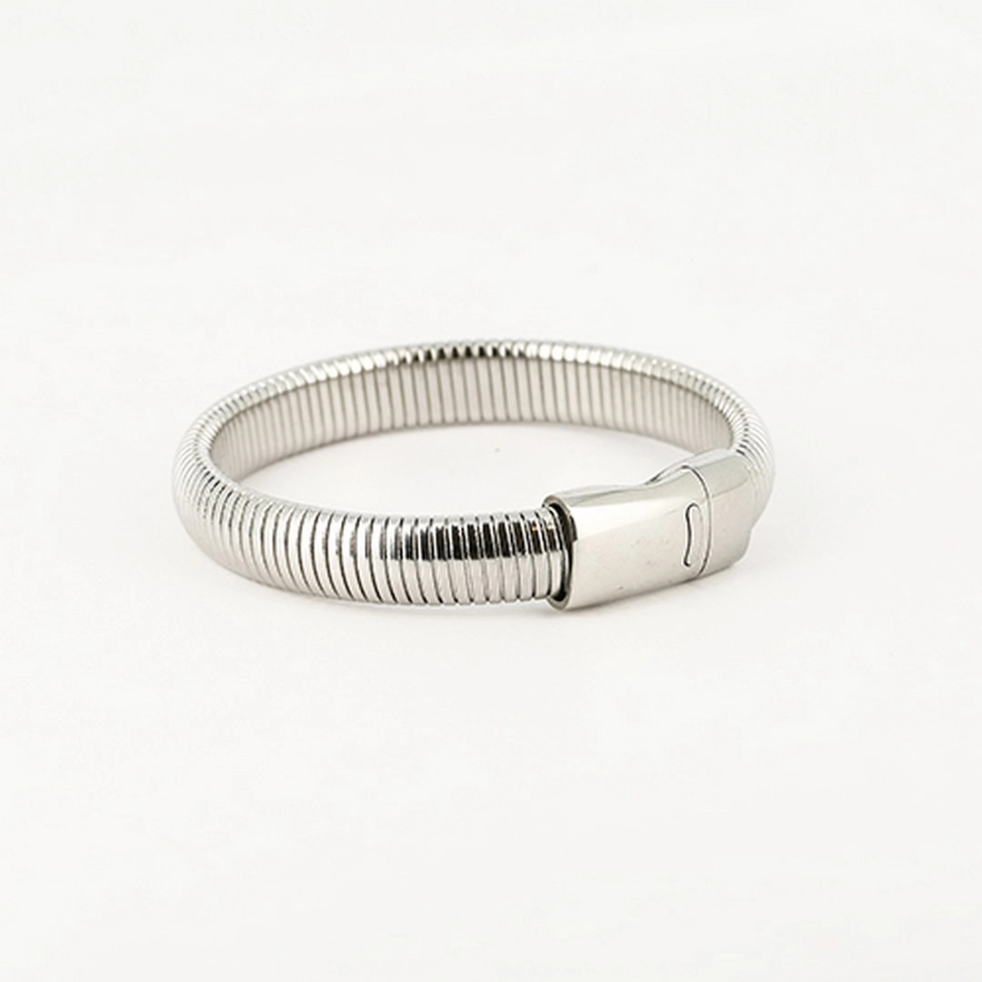 Zag Bijoux Stainless Steel Surgical Bracelet/ SBJ15026-00UNI