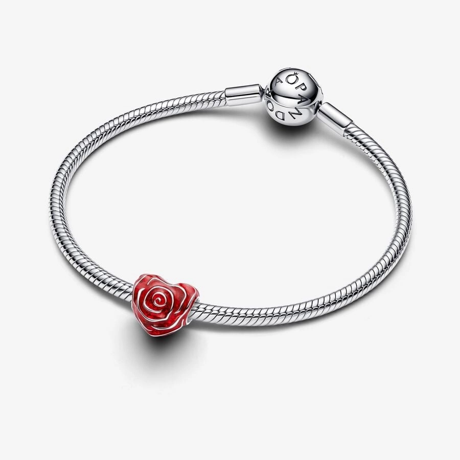 PANDORA Moments Silver Charm/ 793673C01