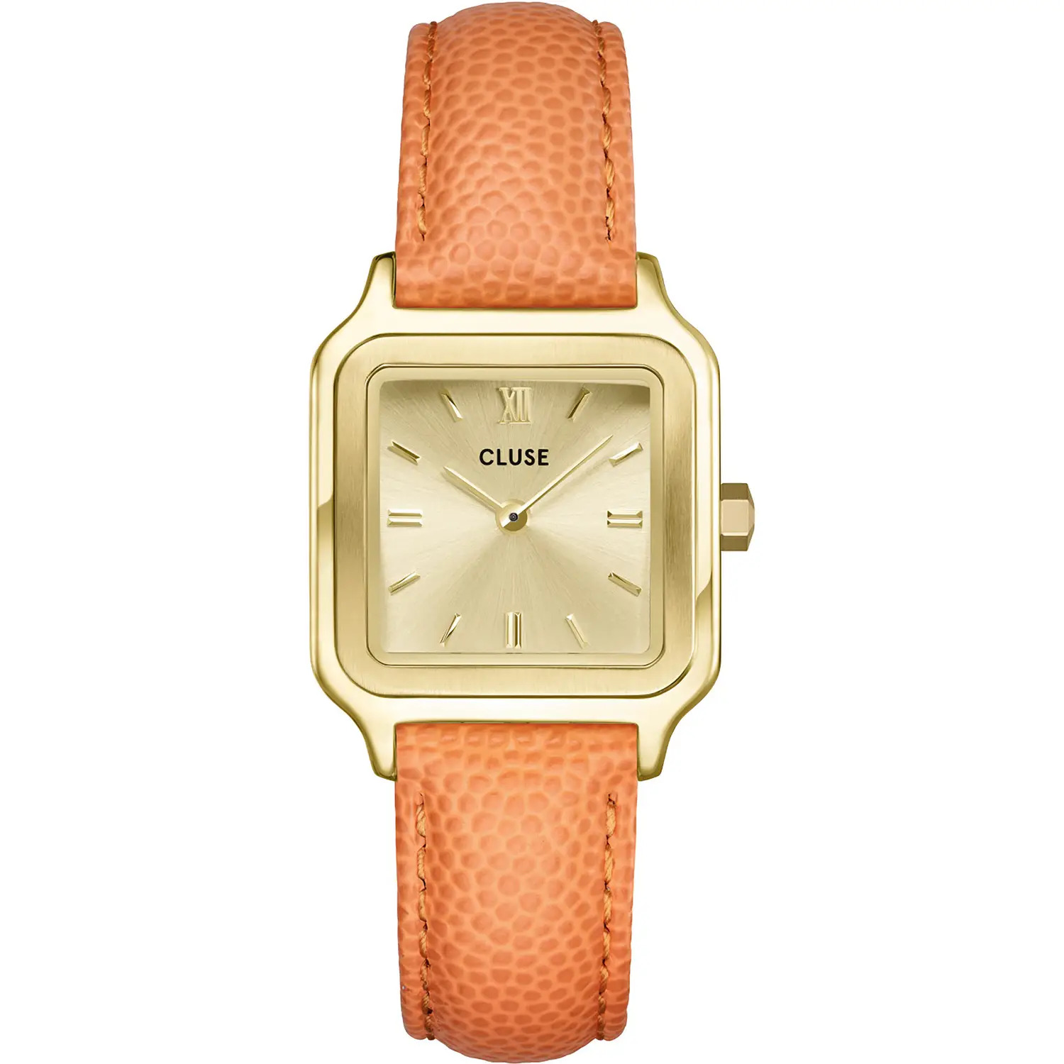 Cluse Ladies Wristwatch/ CW11808