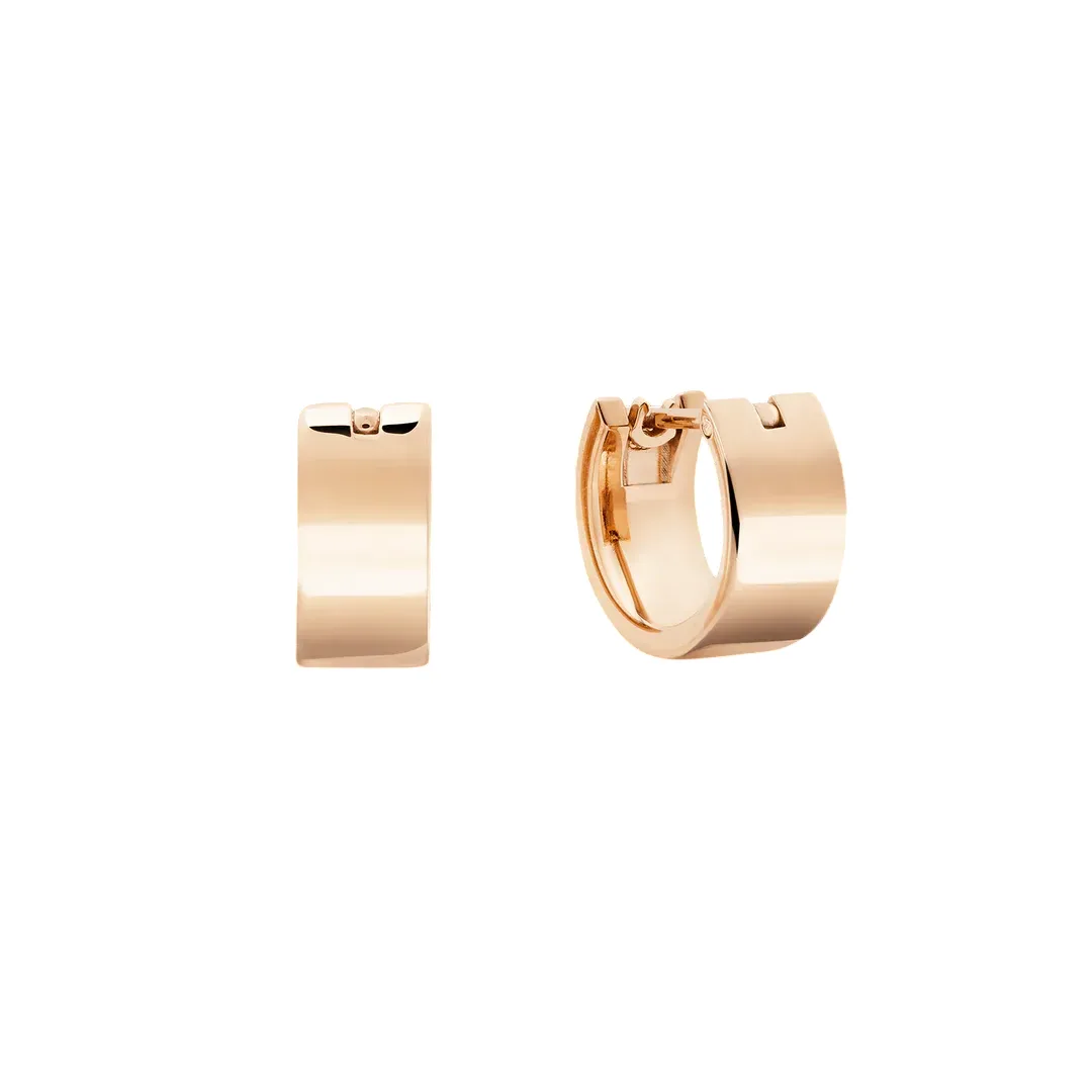 Daniel Wellington Earring/ DW00401896