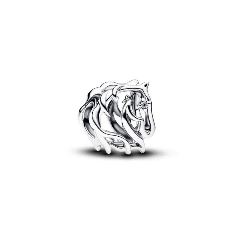 Pandora Moments Silver Charm/ 794430C01