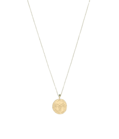 Zag Bijoux Necklace / Aries / SNM21348-01BEL