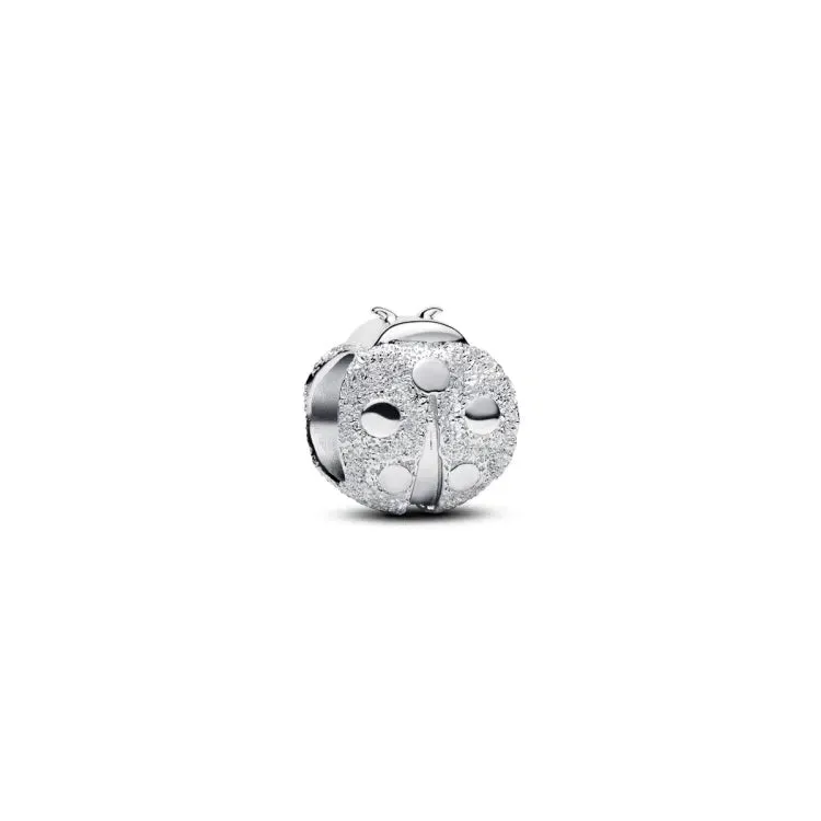 Pandora Moments Silver Charm/ 794527C00