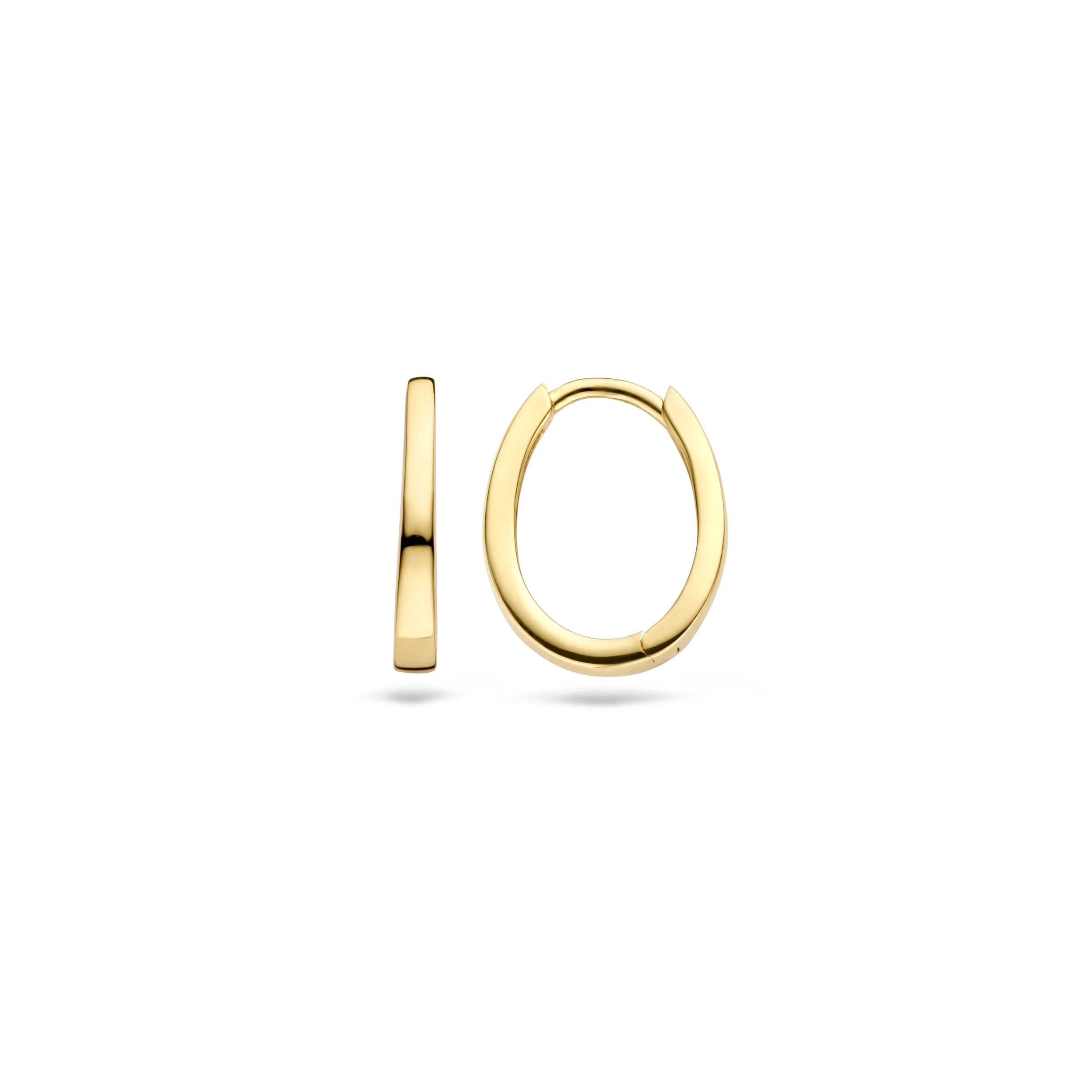 Blush 14K ոսկյա Ականջօղ/ 7277YGO