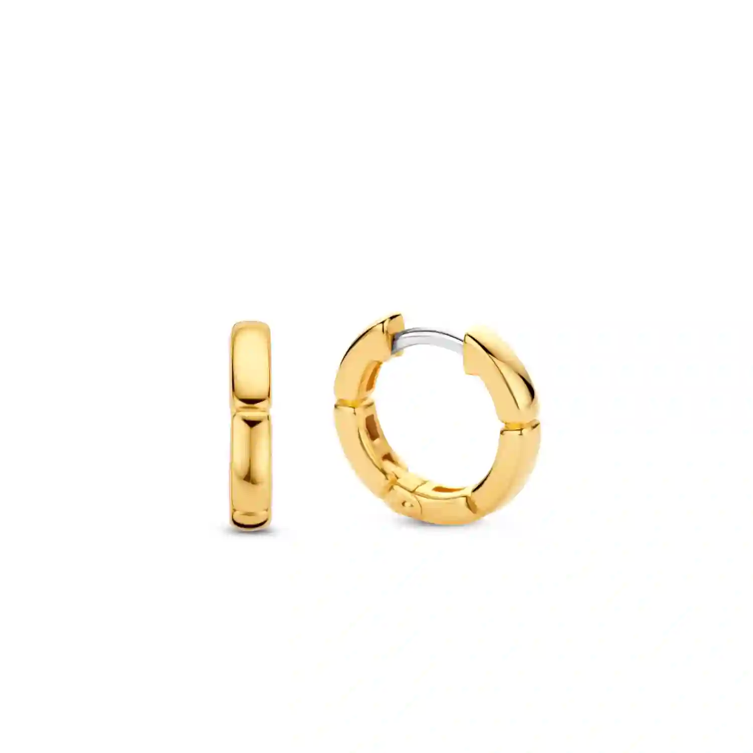 Ti Sento 14K Ոսկեպատ Արծաթյա Ականջօղ/ 7889SY