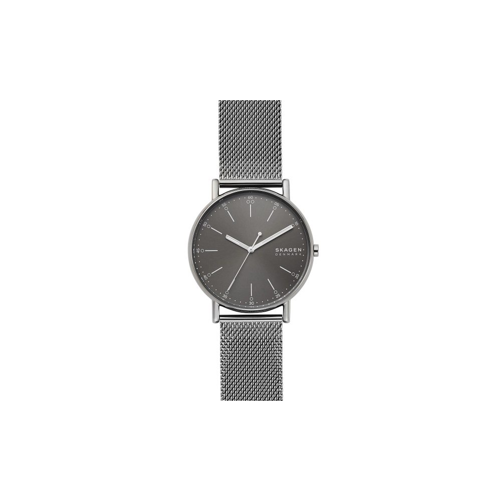 Skagen  Мужские  Наручные часы/ SKW6577