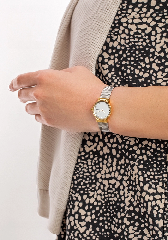 Skagen  Ladies  Wristwatch/ SKW2666