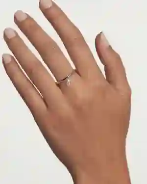 PDPAOLA Silver Ring/ AN02-966-12