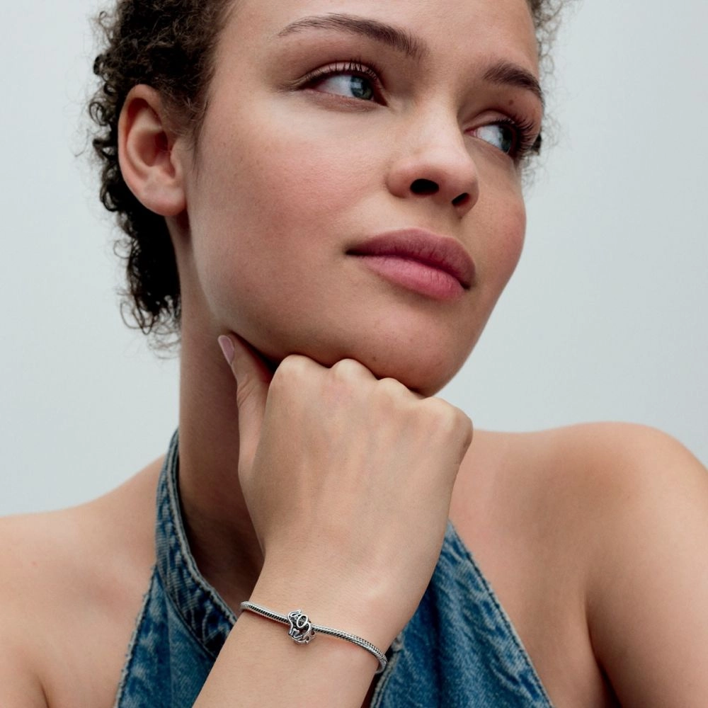 PANDORA Moments Արծաթյա Չարմ/ 793345C01