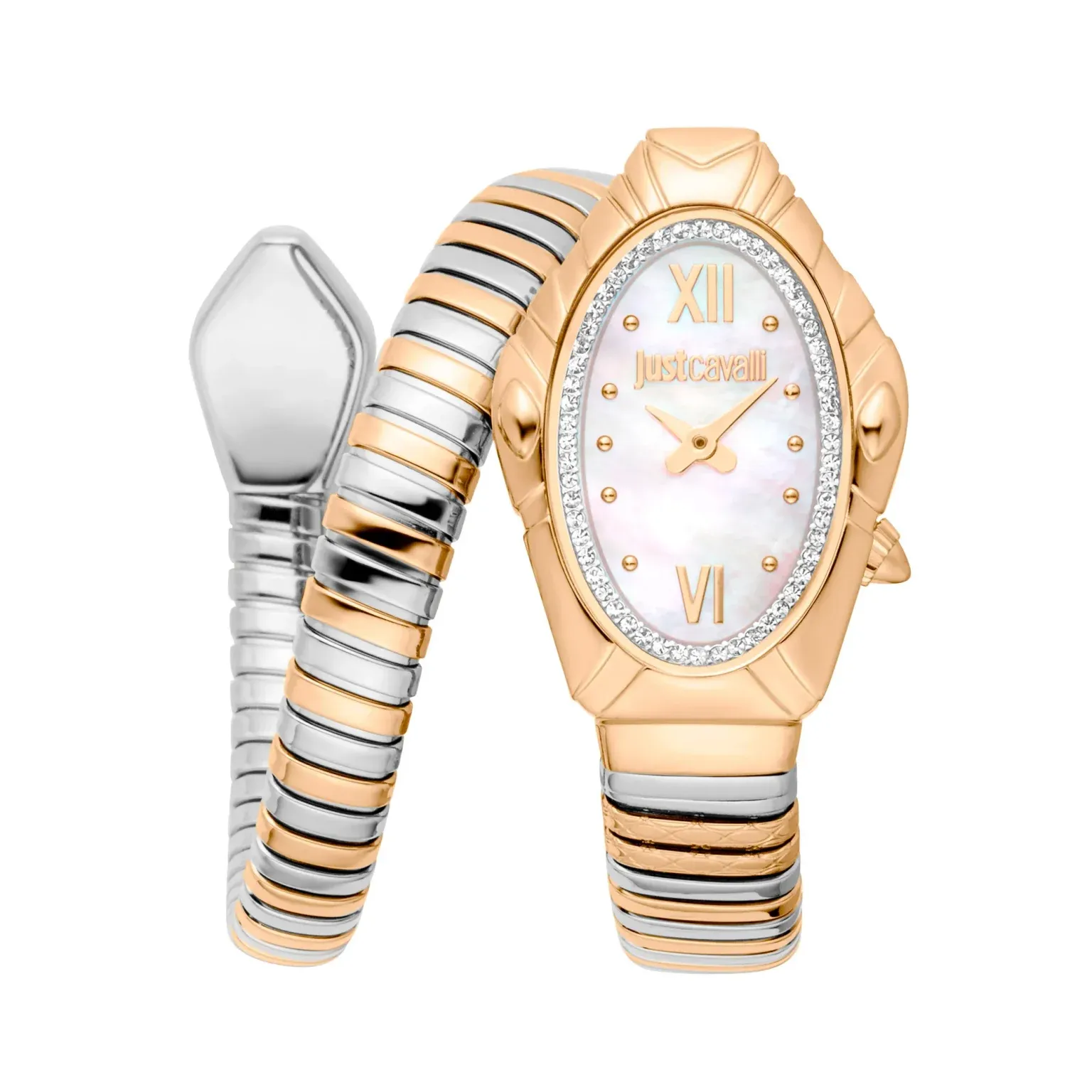 Just Cavalli Ladies Quartz Wristwatch/ JC1L357M0055