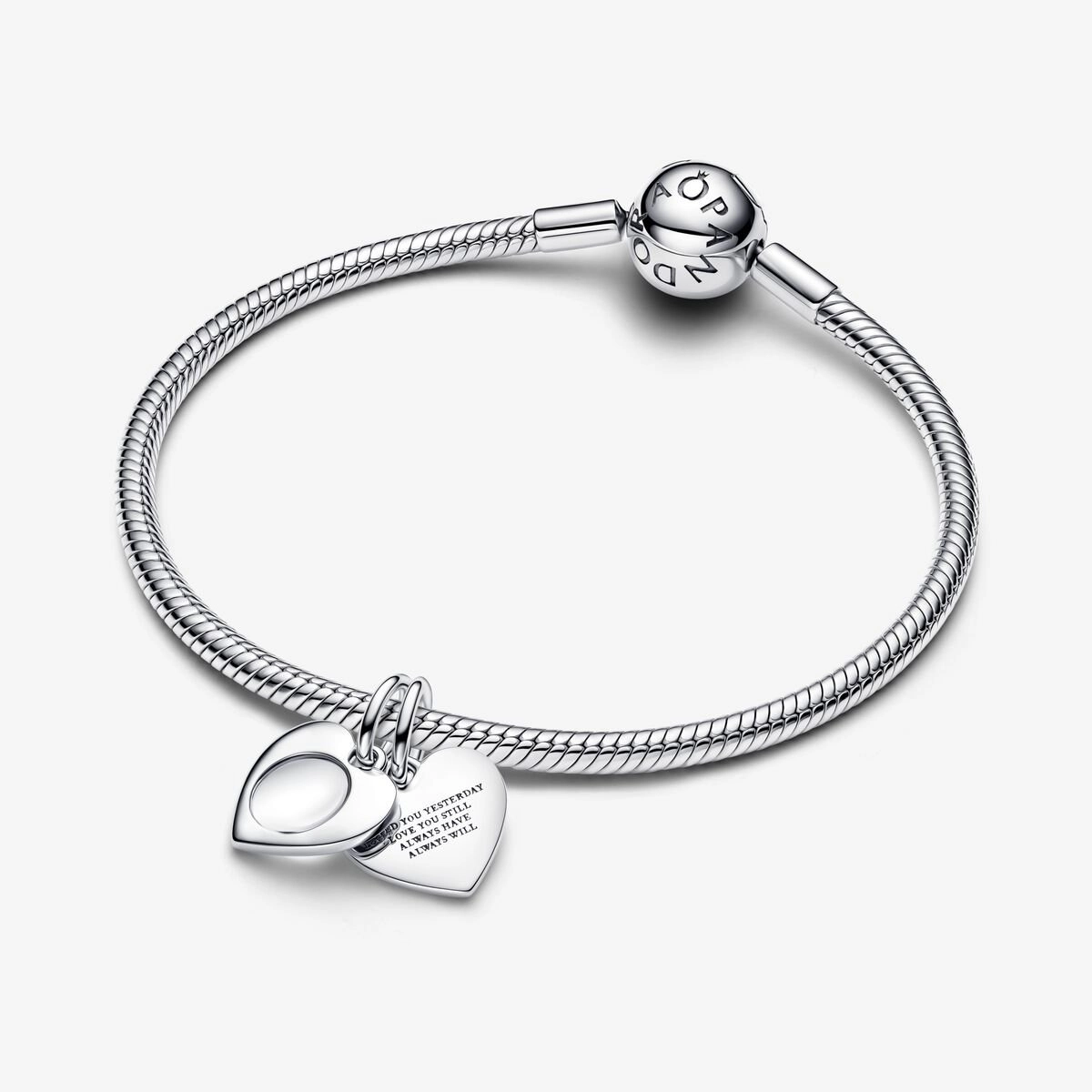 PANDORA Moments Արծաթյա Չարմ/ 793671C00
