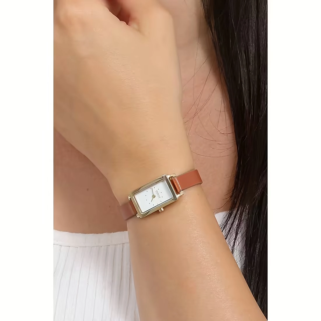 Skagen  Կանացի  Ժամացույց/ SKW3149