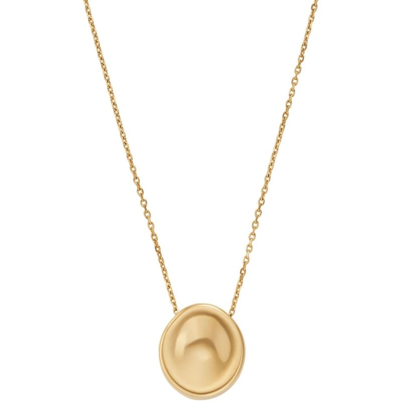 Skagen Necklace/ SKJ1750710
