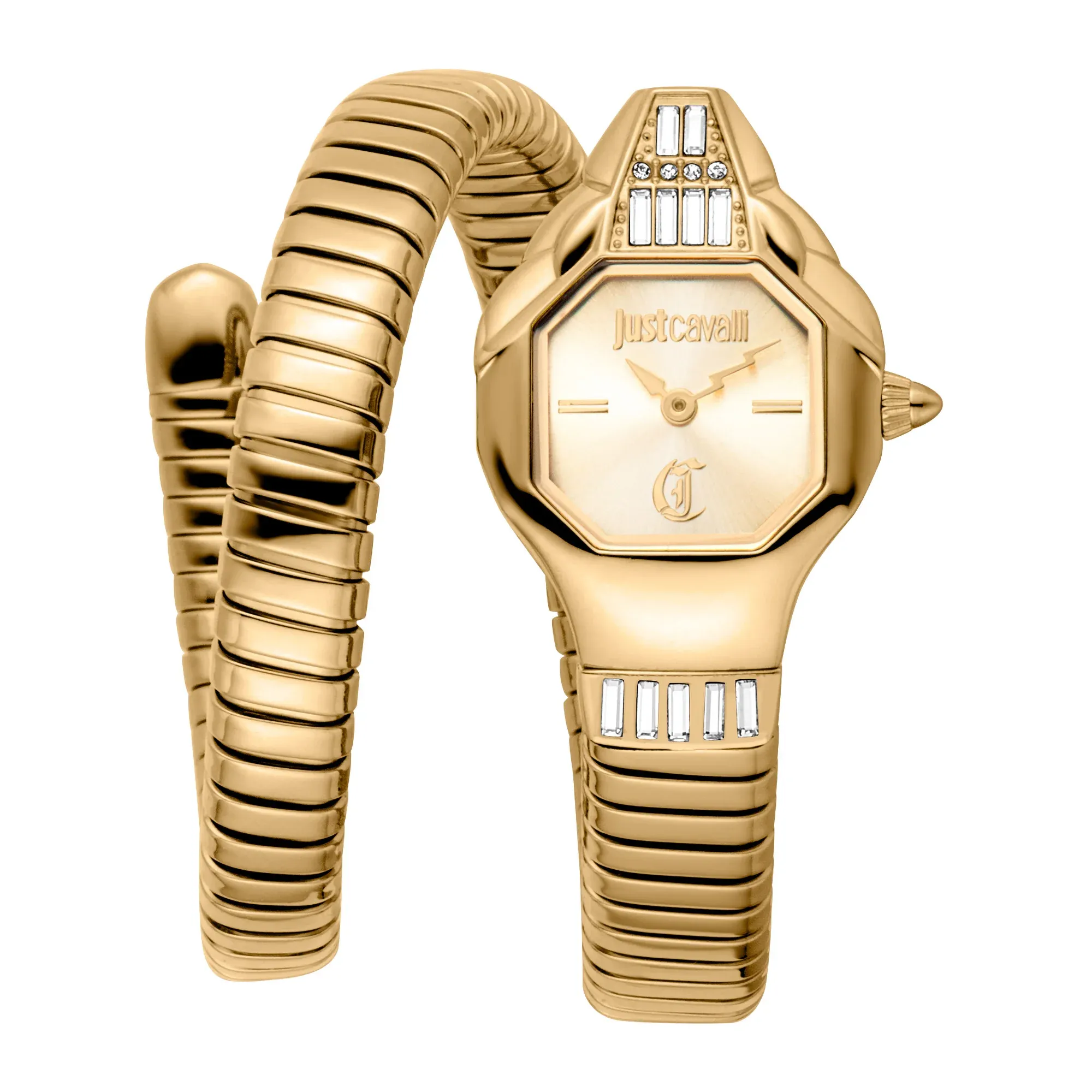 Just Cavalli Ladies Quartz Wristwatch/ JC1L326M0025