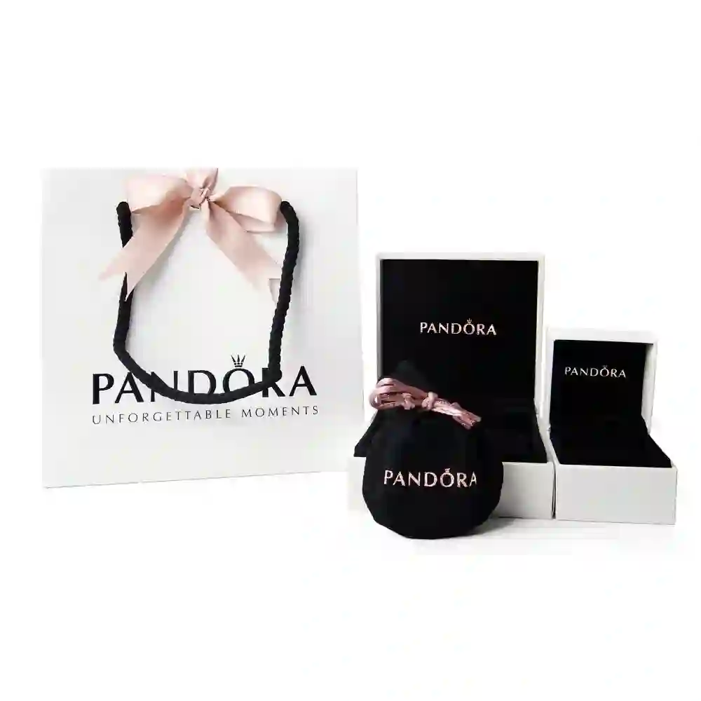 PANDORA Moments Silver Charm/ 791242CZ