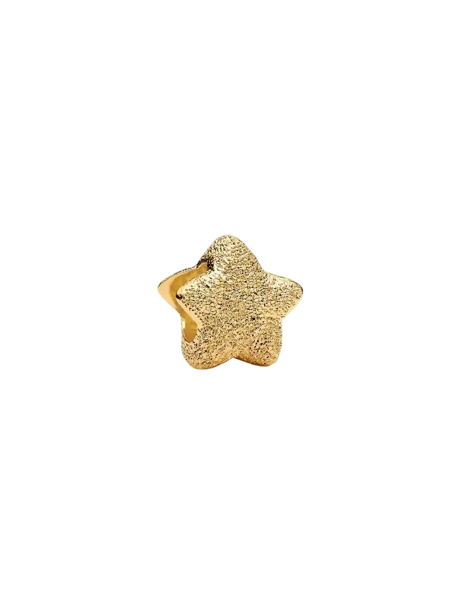 Pandora Moments 14K Gold Plated Charm/ 764050C00