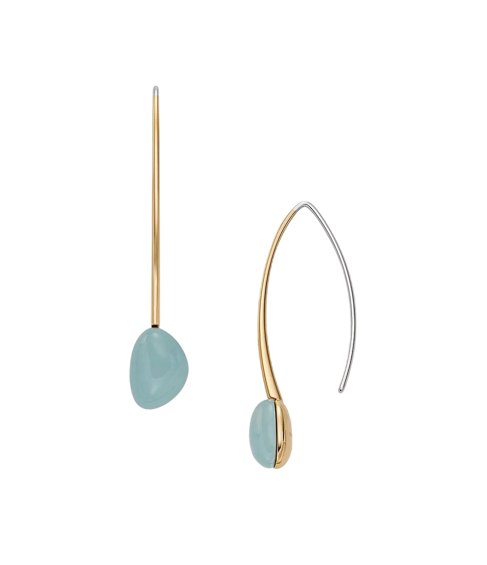 Skagen Bracelet and Earring Set
