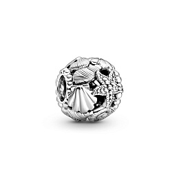 PANDORA Moments Արծաթյա Չարմ/ 798950C00