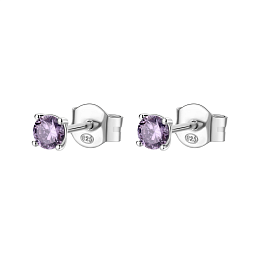 Brosway Silver Earring/ FMP45