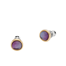 Skagen Серьги/ SKJ1686710