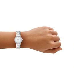 Skagen Ladies Quartz Wristwatch/SKW3168