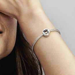 PANDORA Moments Արծաթյա Չարմ/ 797868