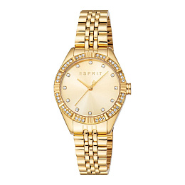 Esprit Ladies Wristwatch/ ES1L425M0035