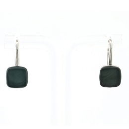 Skagen Earring/ SKJ0872040
