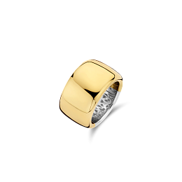 Ti Sento 14K Gold Plated Silver Ring/ 12233SY-56