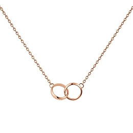 Daniel Wellington Necklace/ DW00400166