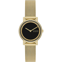 Skagen  Կանացի  Ժամացույց/ SKW3111