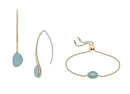 Skagen Bracelet and Earring Set