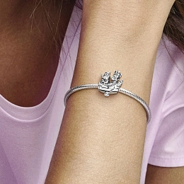 PANDORA Disney Արծաթյա Չարմ/ 790108C00