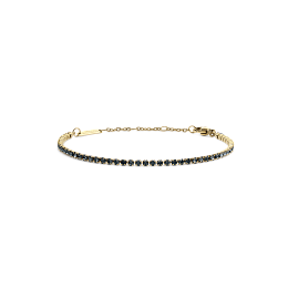 Daniel Wellington Gold PVD Bracelet/DW00401107