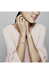 PANDORA Moments Արծաթյա Չարմ/ 798063EN124