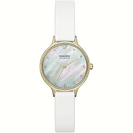 Skagen  Կանացի  Ժամացույց/ SKW3138